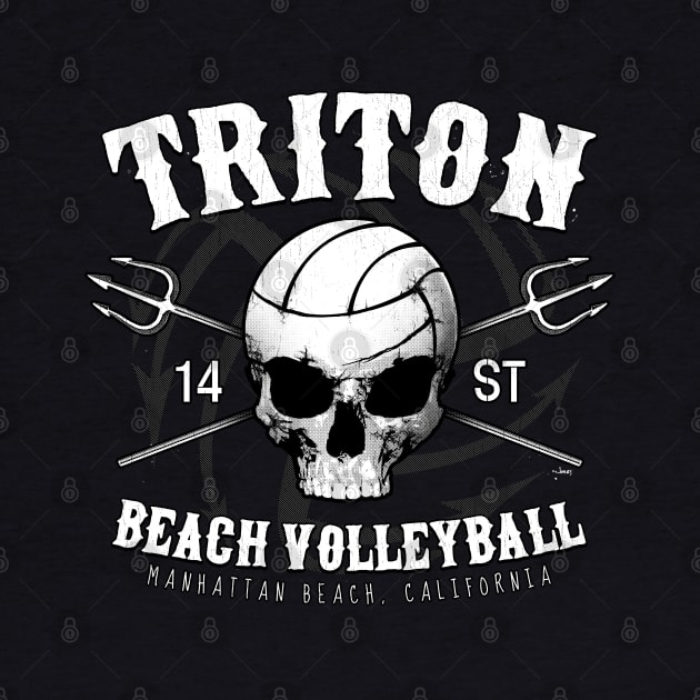 Triton Organizers Skull Shirt by cjboco